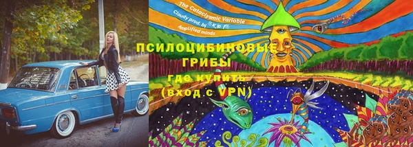 мдпв Горно-Алтайск