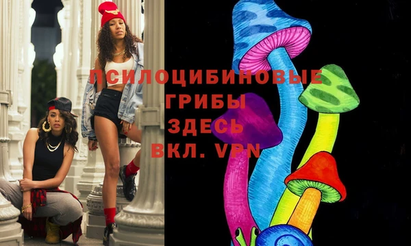 мдпв Горно-Алтайск