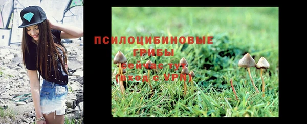стаф Гусев