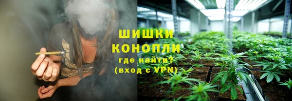 мдпв Горно-Алтайск