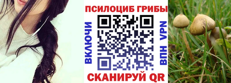Купить закладки  Кунгур  Псилоцибиновые грибы GOLDEN TEACHER 